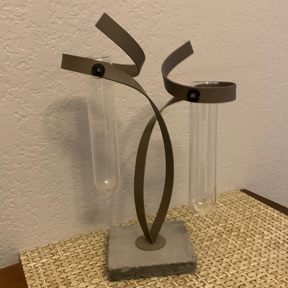 Two test tube vase